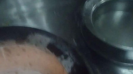 燃料