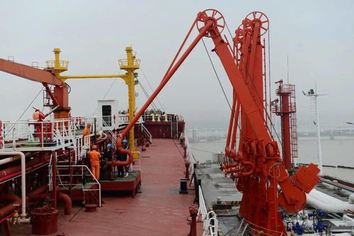 杭州海关深化改革助力甬舟一体化，燃料贸易成效显著