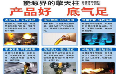 植物燃料油 一种简易环保的能源制作指南