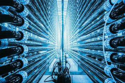 2021世界环境摄影师大赛结果揭晓 破屋中的孩子震撼夺冠