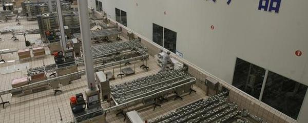 气化厂 将固体燃料转化为清洁能源的“魔术工厂”