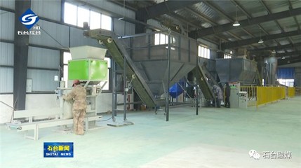我县首家生物质颗粒项目正式投产，开启绿色燃料新篇章