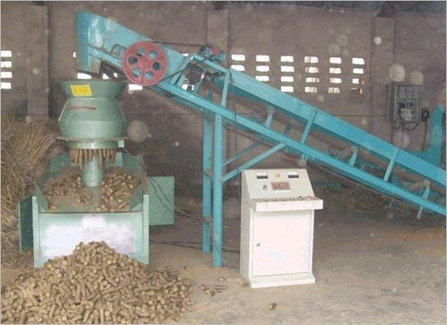 秸秆颗粒燃料机 绿色能源转化的利器